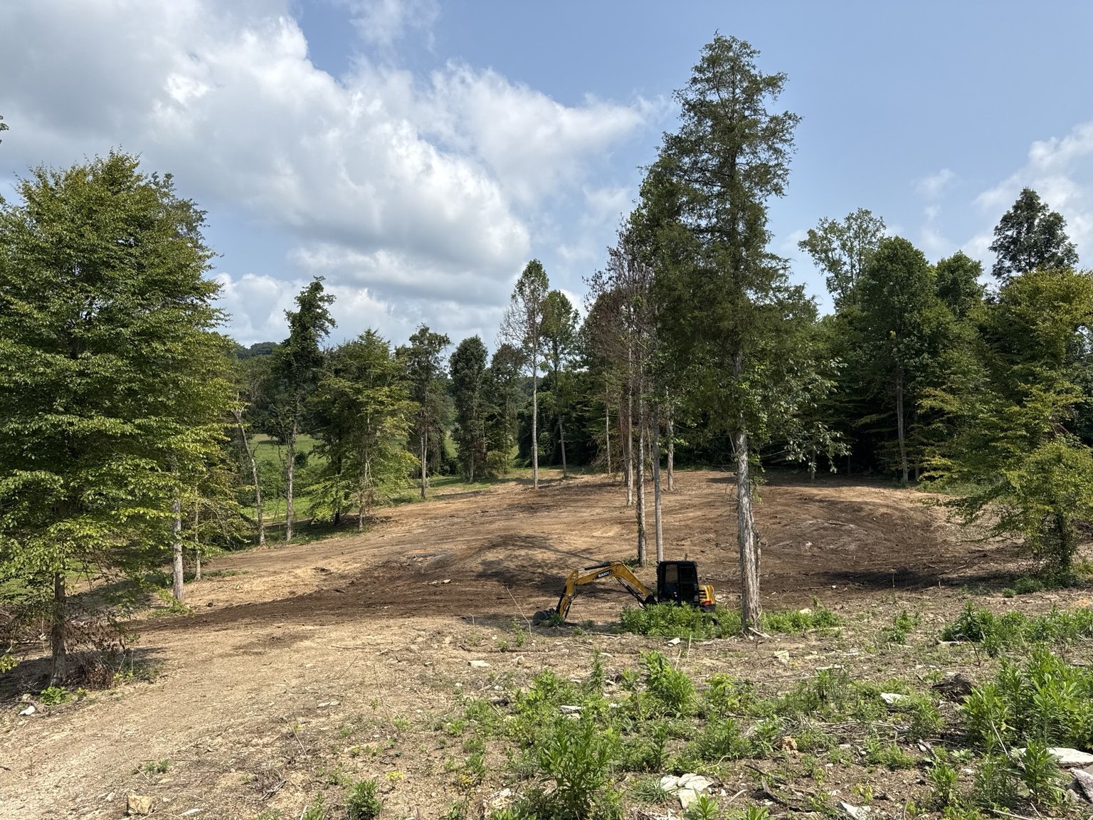 Cleared property with selected trees remaining